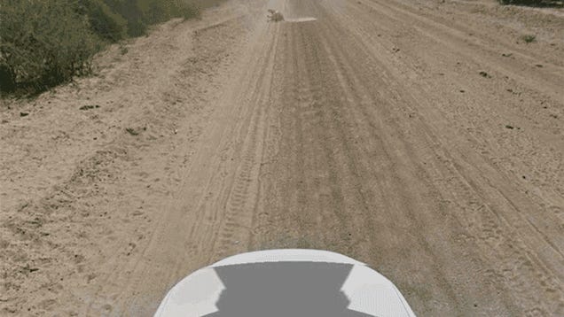 Google Street View Car Not Guilty of Donkey Murder