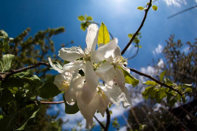 Shooting Challenge: Spring Gallery 1