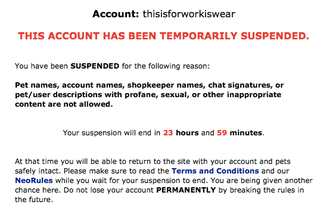 I Returned To Neopets After A Decade Of Abandonment, Only To Get Suspended Hours Later