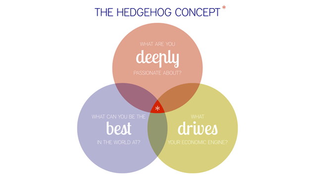 Find the Right Career with These Three Questions, the Hedgehog Concept