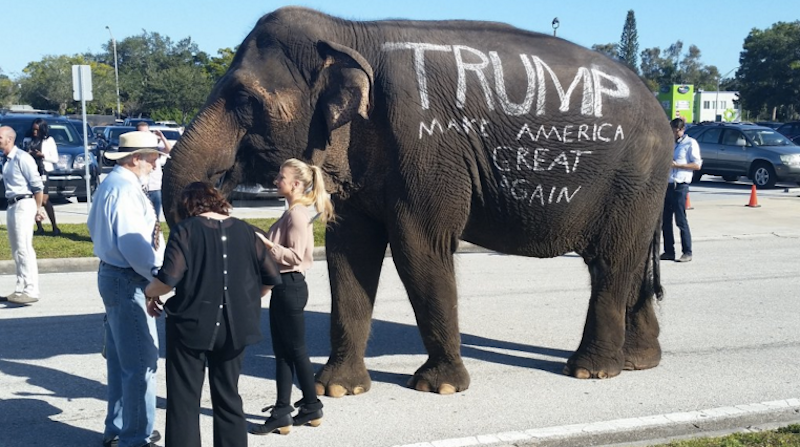 Donald Trump Rally Features Circus Elephant Owned by Man Who Was Repeatedly Arrested for Animal Cruelty