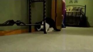 Editorial Wrap-Up, Week of November 16th