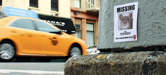 Missing mice posters are being pasted all over New York