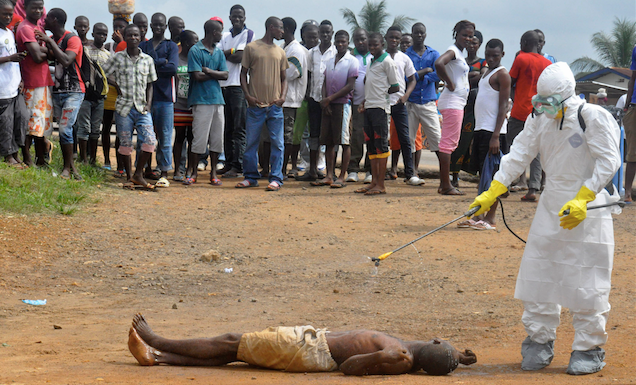 WHO Recommends Using Survivors' Blood to Treat Ebola Patients