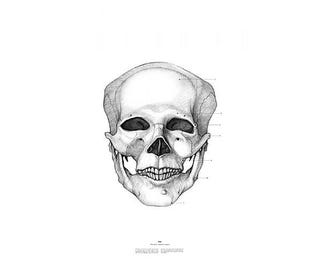 Portraits of 20th century figures — or at least their skulls