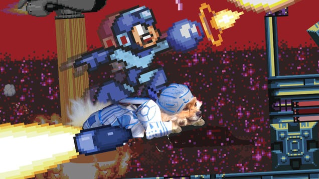 Kotaku 'Shop Contest: Tron Dog: The Winners