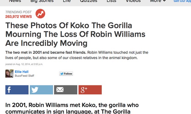 Asshole Gorilla Humps Robin Williams' Corpse for Publicity