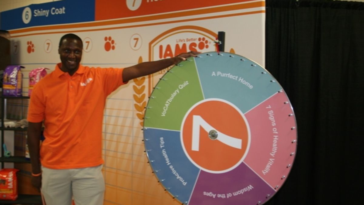 Cats Being CAThletes: An Afternoon at the CFA Iams Cat Championship