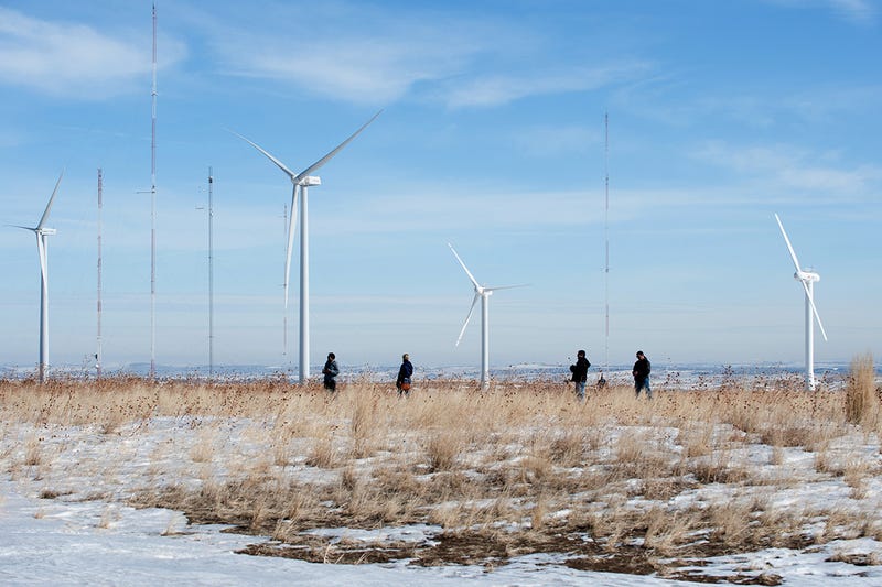 Spirit the Eagle Helps to Stop Birds Getting Chopped by Wind Turbines