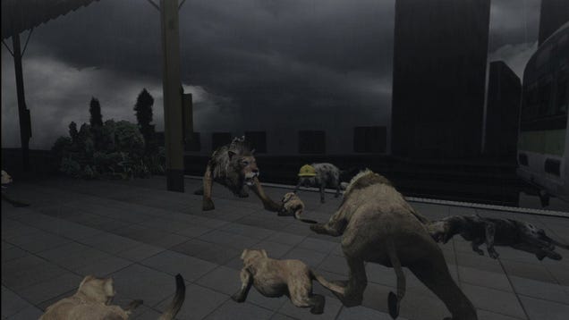 Lions and Tigers and Animal Copulating, Oh My!