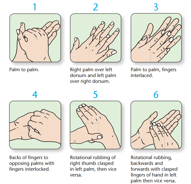 Hand Hygiene Methods