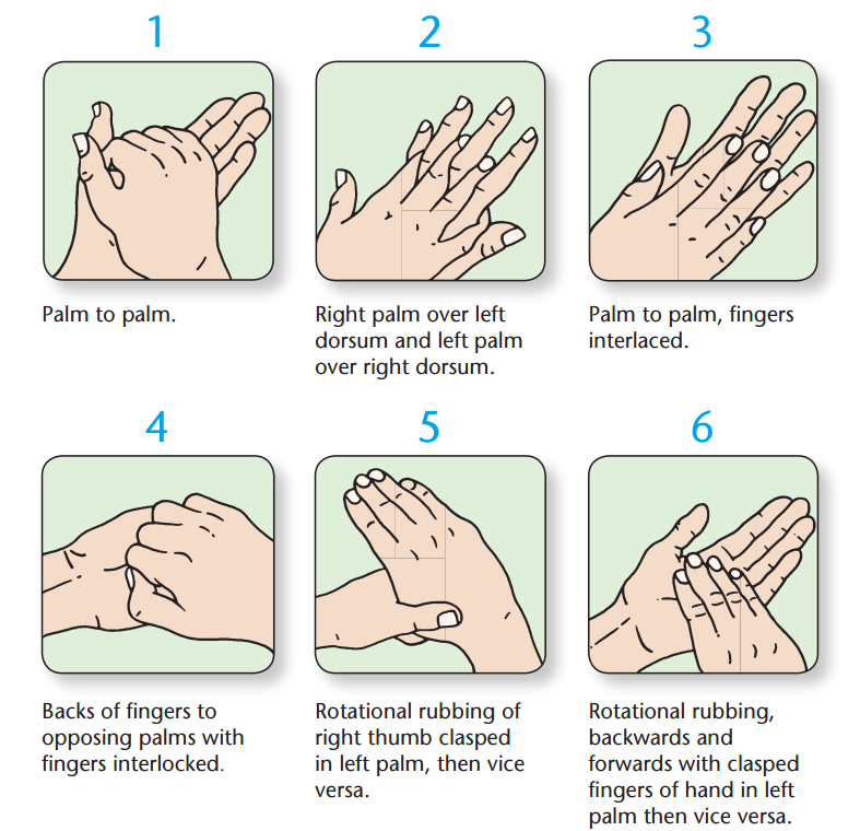 Proper Hand Washing Procedure Pdf