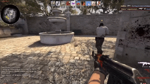 Counter-Strike's Zombie Chicken, In Action