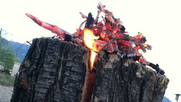 ​Make a "Swedish Torch" Campfire with a Single Log