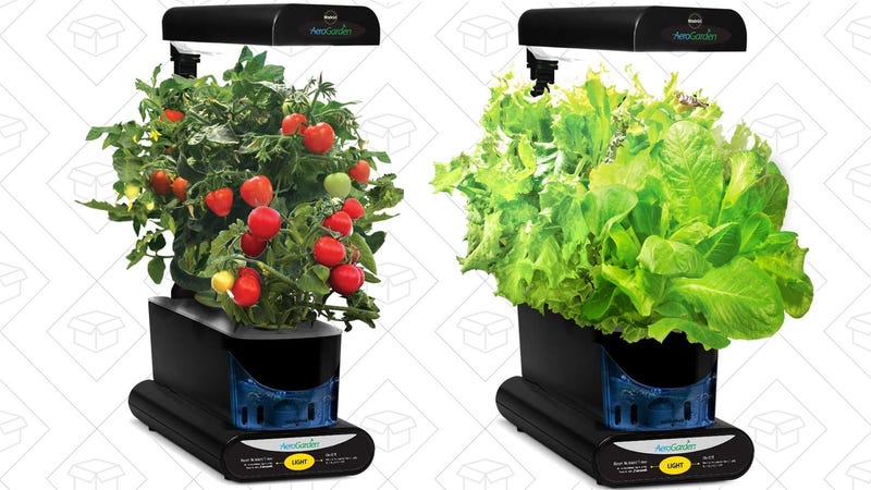 Sunday's Best Deals: Anker Gear, Kindle Books, Skechers Shoes, and More