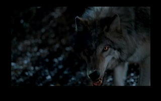 True Blood: "Conscience Off, Dick On"