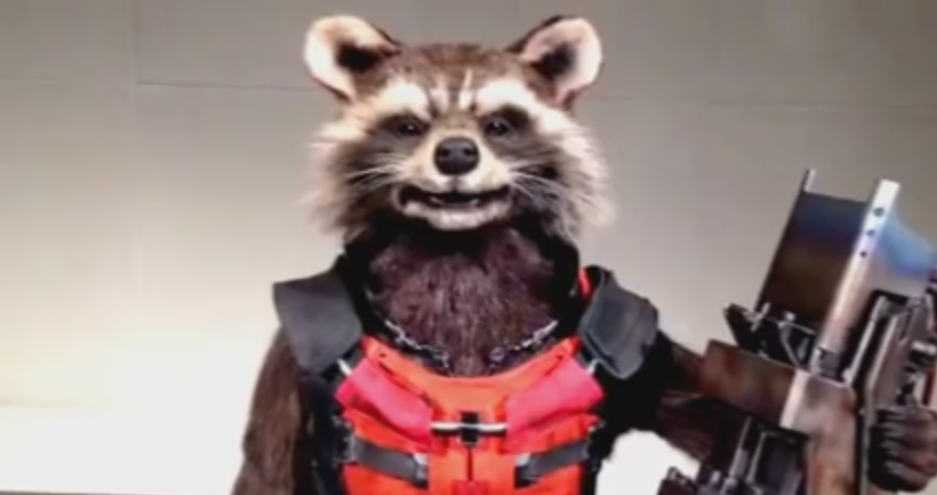 talking rocket raccoon toy