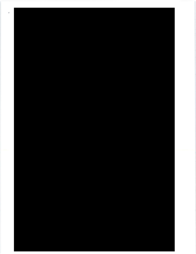 What Do You Think Is in These 73 Straight Pages of Fully Redacted Emails?