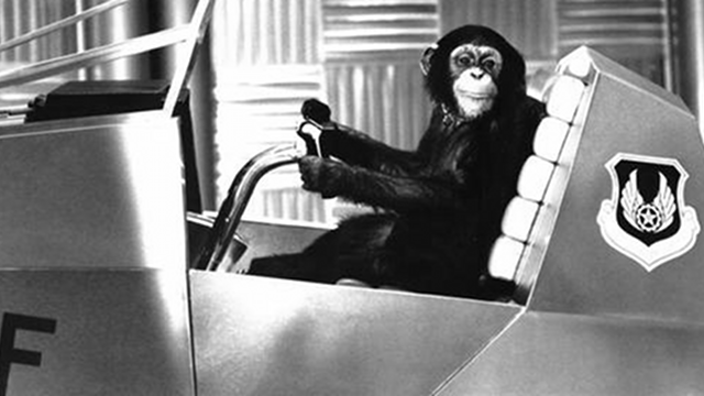 chimpanzee sent to space