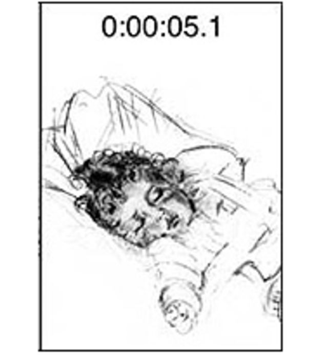 Apple Approves, Quickly Removes "Baby Shaker" App