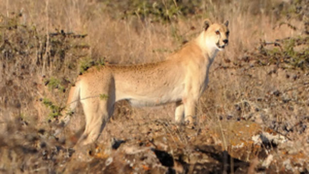 Best of the Week: September 2-September 9, 2011