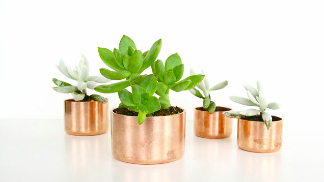 Turn Copper Pipes and Cap Fittings into Decorative Planters