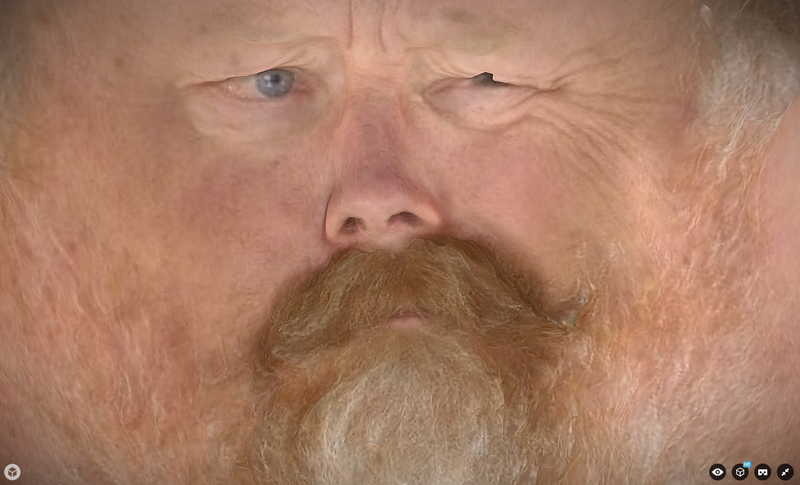 A Crazy Rig of 53 GoPro Cameras Filmed a '4D' Video of This Dude's Head