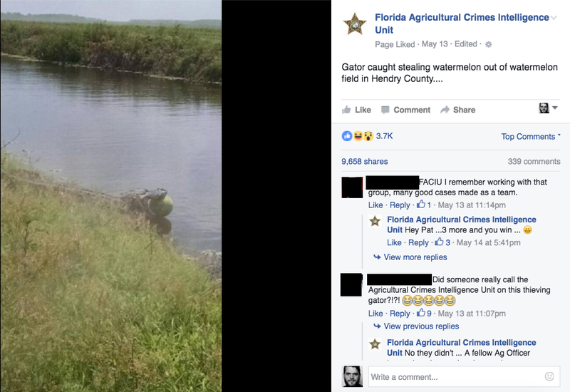 This Goofy Repository of Florida Farm Crimes Is My New Favorite Facebook Page