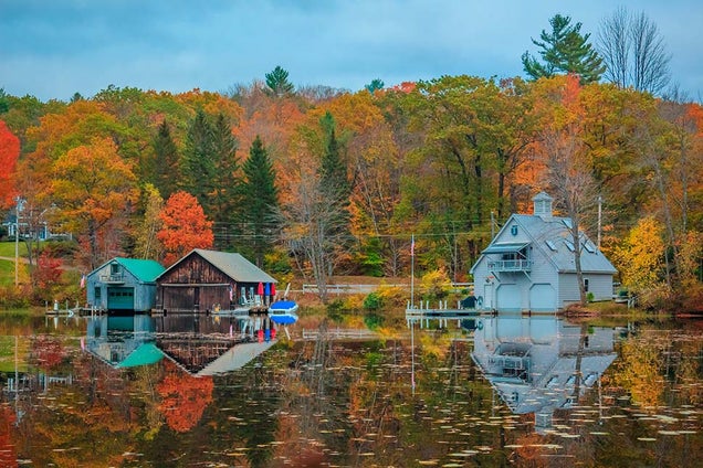 40 Stunning Photos Of Fall Foliage