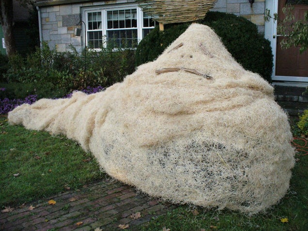 Star Wars made entirely out of scarecrows wins best Halloween lawn on this Earth
