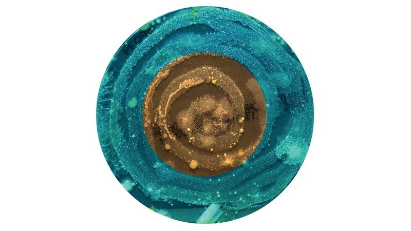 Your Navel Lint Makes a Beautiful Portrait as Unique as Your Fingerprint