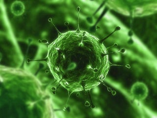 Stop Future Plagues By Mutating Viruses To Death