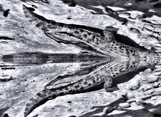 19 Photos Of (Near) Perfect Symmetry