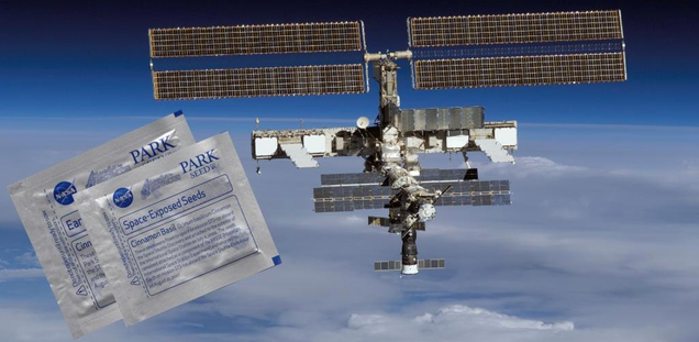 Buy These Seeds From Space and Make Yourself an Intergalactic Salad