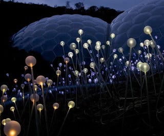 Fiber Optic Sculpture Transforms Field into a Luminous Alien Landscape