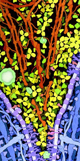 Stunning molecular biology illustrations look like floral abstract art