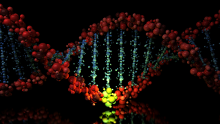 New Technique Allows Bioengineers To "Reprogram" Genetic Code