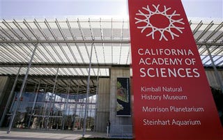 California Academy of Sciences Reopens in an Orgy of Ecotechture
