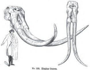 How the Democrats Tried to Destroy Dinosaur Art