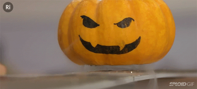 This levitating pumpkin is the best Jack O' Lantern