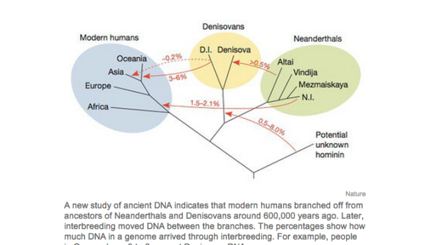 A chart that sums up who had sex with whom during the Pleistocene