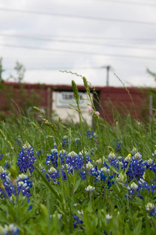 Shooting Challenge: Spring Gallery 3