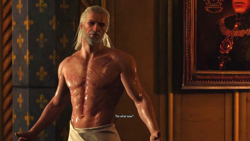 the witcher pc mods