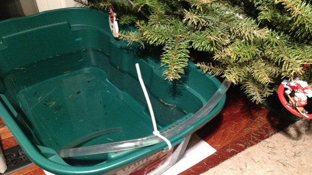 set up a siphoning water reservoir when leaving your set up a siphoning water reservoir when leaving your