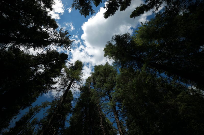 The Most Hopeful Place On Earth For Climate Change