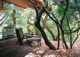 Who Doesn't Want to Live In This House With Elephants In the Garden?