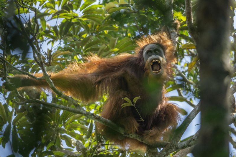 Las mejores fotos de prensa de 2015 muestran la cara más brutal del hombre y la naturaleza
