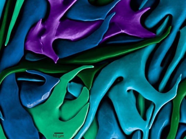 The Year's Best Visualizations of Scientific Concepts