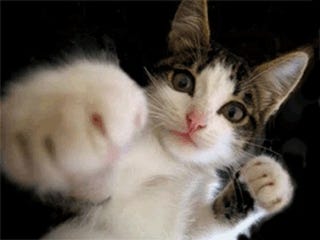 No!