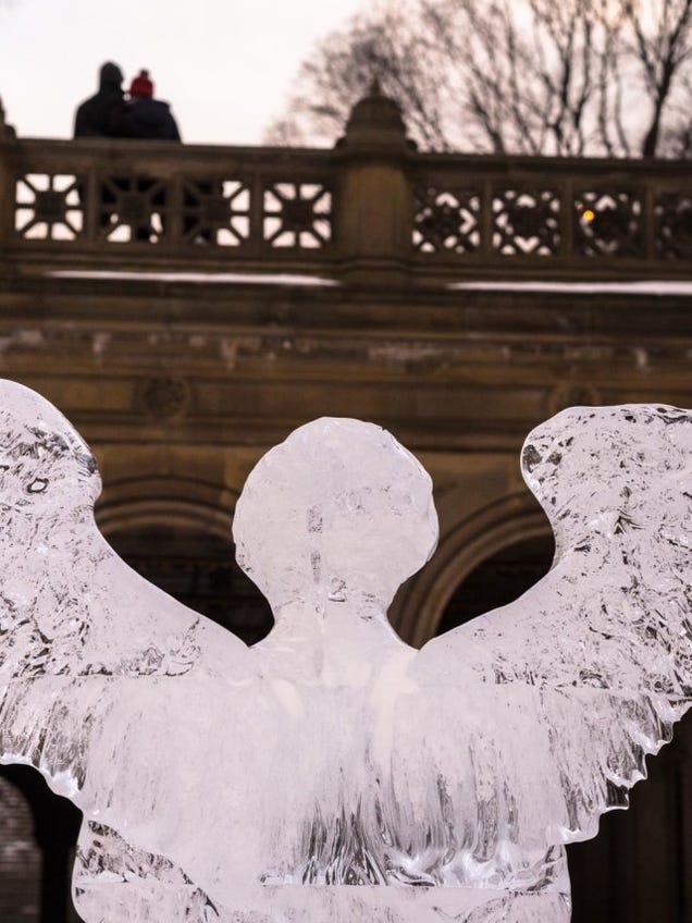 14 Frozen Photos Of The Polar Vortex